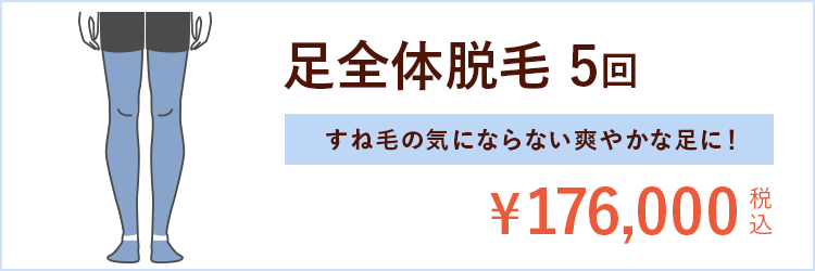 足全体脱毛5回