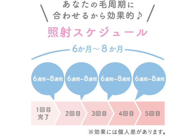 毛周期に合わせた脱毛施術